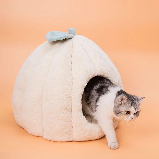 Acessórios para cama de gato Lit Pour Chat