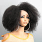 Afro-Perücken für schwarze Frauen, verworren, lockig, 13 x 4 x 2, HD-Spitze, natürlicher Haaransatz, 250 % Dichte