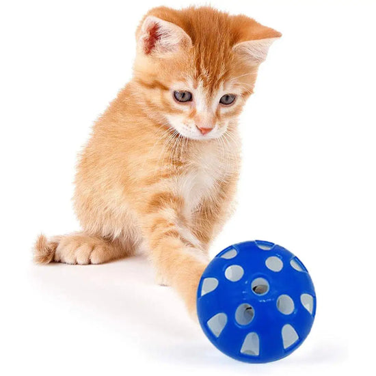 Brinquedo de  diversão para animais de estimação