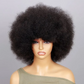 Afro Kinky Curly Perücken mit Pony für Frauen flauschig kurz